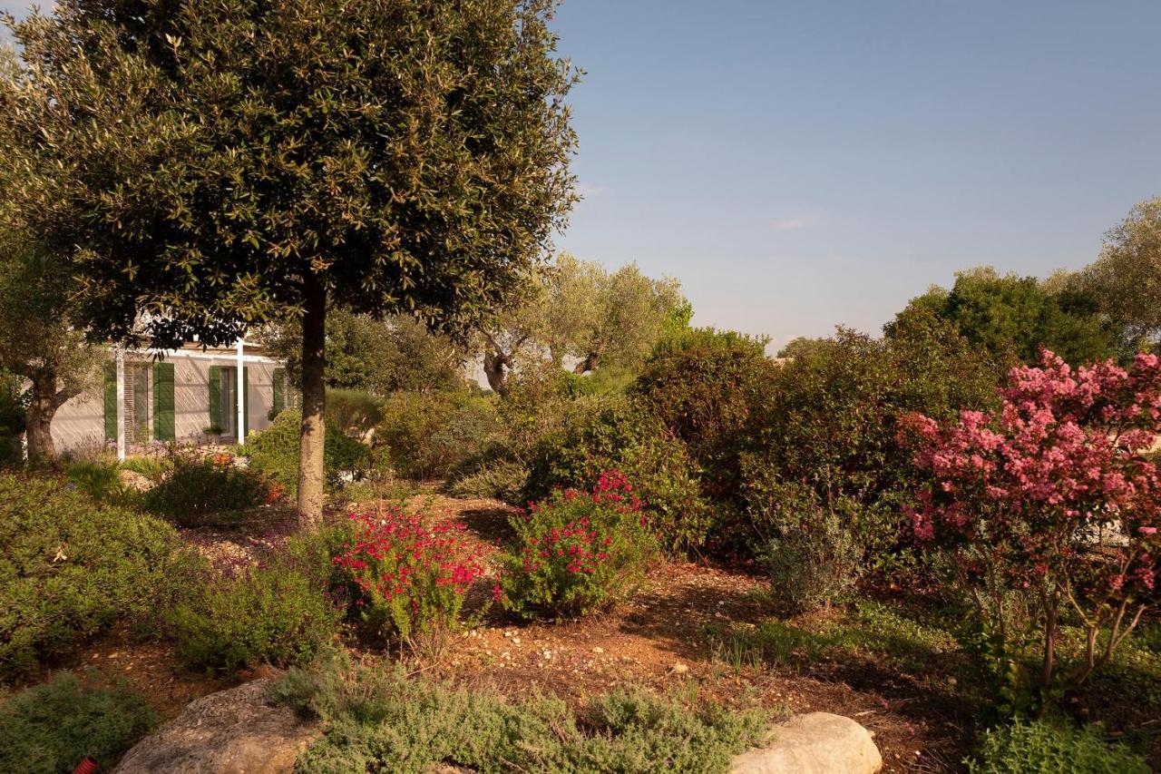 Agriturismo La Civetta Джоя дел Коле Екстериор снимка